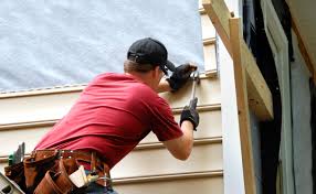 Best Vinyl Siding Installation  in Shawneetown, IL